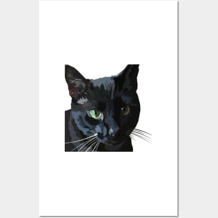 Black Cat Posters and Art